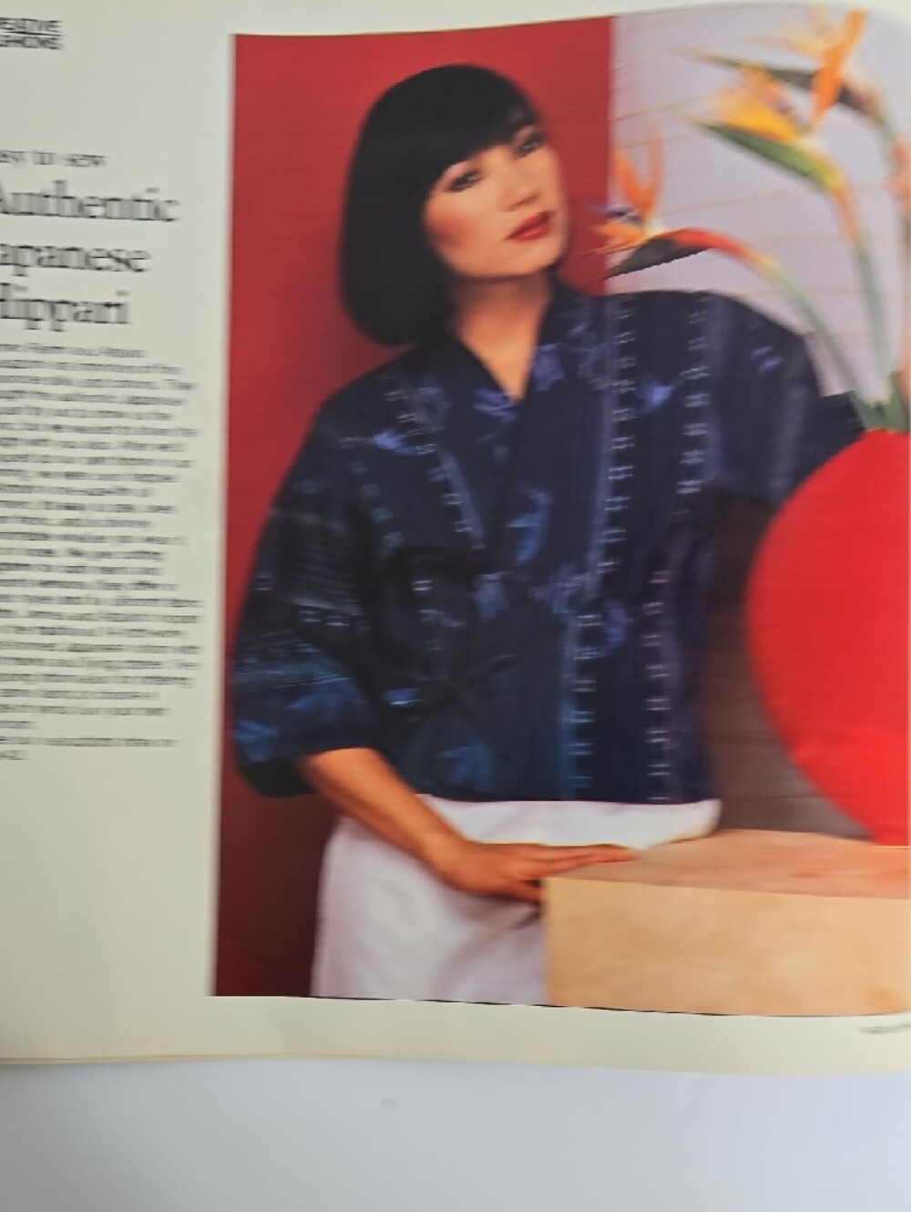 Needle & Thread Magazine May June 1985 Complete Patterns - Picture 8 of 15